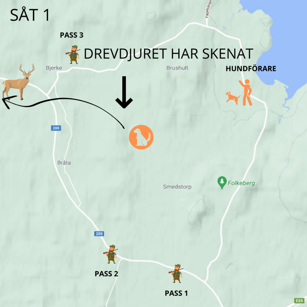 Drevjakt - Jaktguide u0026 Tips - Det kan vara det roligaste som finns